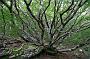 191 wandeling 1000 treden